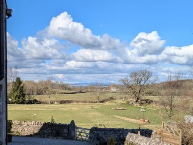 A grassy field with trees and stone walls under a blue sky at The Dairy at Brackenthwaite Farm in Arnside