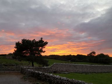 A stone wall a tree and a grassy field at sunset at The Dairy at Brackenthwaite Farm in Arnside
