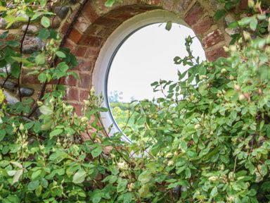 A round window set in a brick wall with green leafy plants growing around it at Pear Tree Barn in Stalham