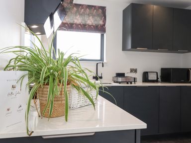 A kitchen with dark cabinets a countertop with a potted plant a toaster and a microwave at Yew Tree Cabin in Ullswater