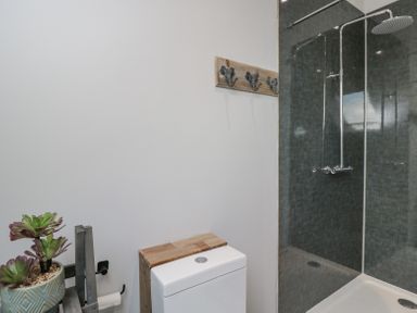 A bathroom with a shower area a toilet a wooden hook rack and a plant in a pot at Greystones in Upton St Leonards