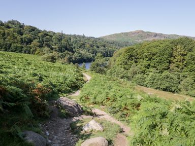 A dirt path winding through green ferns and trees with hills and a lake in the background at 43 Pony Meadow in Troutbeck Bridge