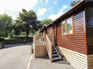 A wooden lodge with a small staircase and trees nearby at JacMar Lodge 14 Applethwaite Limefitt Park near Windermere