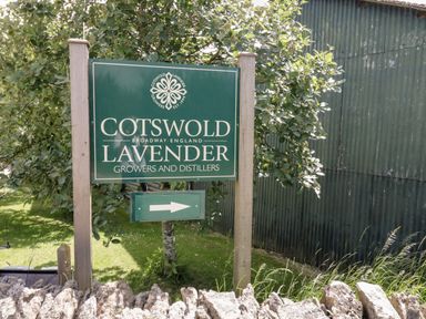 A green sign for Cotswold Lavender growers and distillers next to a tree and corrugated metal building in Broadway