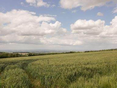 An expansive field with crop tracks under a partly cloudy sky at Ross Cottage in Broadway