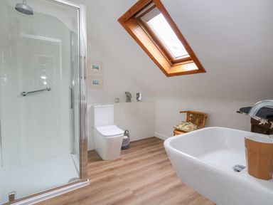 A bathroom with a shower cubicle toilet basin and a skylight window at 26 High West in Weymouth