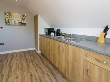 A kitchen with wooden cabinets a gray countertop a double sink microwave coffee maker kettle knives and a painting on the wall at Classic Lodge 30 in Dyserth