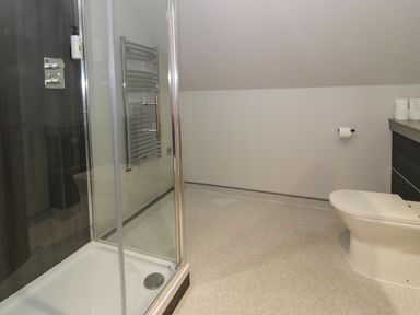 A bathroom with a shower enclosure towel rack toilet and toilet paper at Classic Lodge 30 in Dyserth