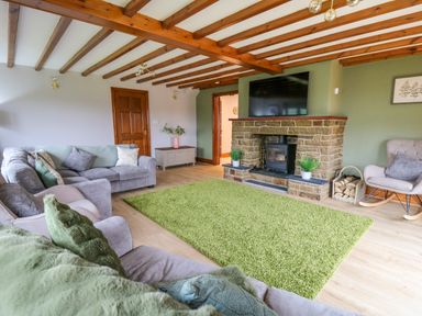 A living room with a green rug a stone fireplace a TV on the wall and grey sofas at Pondarosa in Newbridge-On-Wye