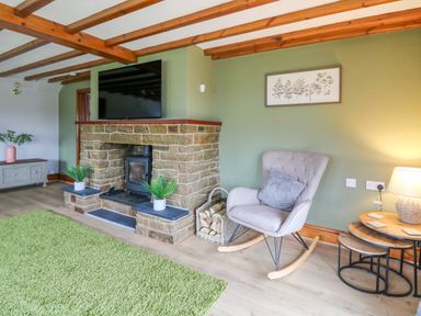 A living room with a stone fireplace a rocking chair a green rug and a wall-mounted tv at Pondarosa in Newbridge-On-Wye