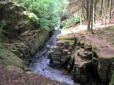 A narrow river flowing through rocky cliffs surrounded by trees with moss on the ground at The Kites Nest in Pont-rhyd-y-groes near Pontrhydfendigaid Snowdonia