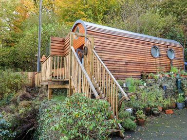 A wooden cabin with circular windows and a staircase surrounded by plants at The Kites Nest in Pont-rhyd-y-groes near Pontrhydfendigaid Snowdonia