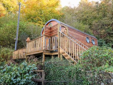 A wooden cabin with a deck and stairs surrounded by trees and bushes at The Kites Nest in Pont-rhyd-y-groes near Pontrhydfendigaid Snowdonia