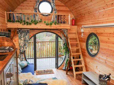 A wooden interior room with a ladder leading to a loft and a round door opening to a balcony at The Kites Nest Pont-rhyd-y-groes near Pontrhydfendigaid Snowdonia