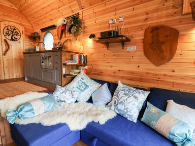 A living area with a blue sofa with cushions and a fur throw next to a wooden kitchenette with books at The Kites Nest in Pont-rhyd-y-groes near Pontrhydfendigaid Snowdonia
