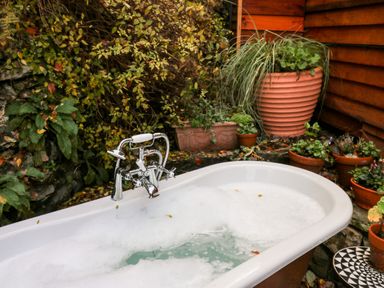 An outdoor bathtub with foam and water surrounded by potted plants and greenery at The Kites Nest in Pont-rhyd-y-groes near Pontrhydfendigaid Snowdonia