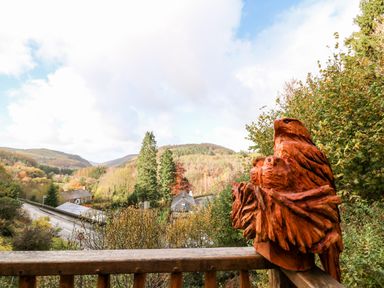 A wooden sculpture of birds on a balcony railing overlooking trees hills and houses at The Kites Nest in Pont-rhyd-y-groes near Pontrhydfendigaid Snowdonia