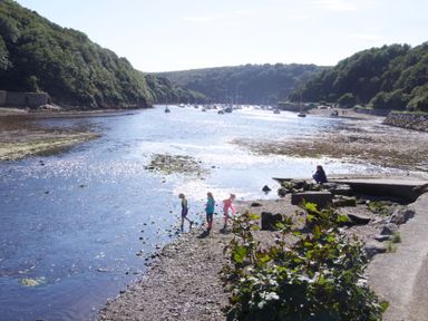A river with boats anchored and people near the shore at Tan y Craig in Solva