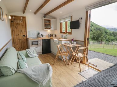 A small kitchen and living area with a green sofa a wooden table and chairs and a door open to a garden at Tan Y Castell Shepherds Hut in Llangollen