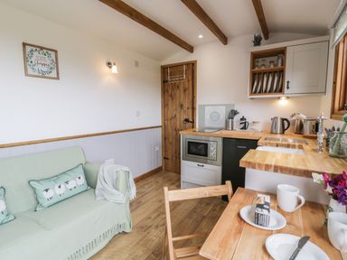 A small kitchen and living area with a wooden door wooden beams and a green sofa at Tan Y Castell Shepherds Hut in Llangollen
