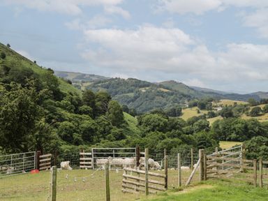 A fenced area with sheep grazing and green hills in the background at Tan Y Castell Shepherds Hut in Llangollen