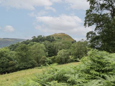 A hill with trees and shrubs under a partly cloudy sky at Tan Y Castell Shepherds Hut in Llangollen