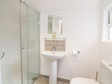 A bathroom with a shower enclosure pedestal sink mirror and toilet at 1 Camperdown Lodge in Salcombe