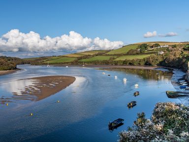 A river with boats along the shore and green hills in the background at 1 Camperdown Lodge in Salcombe