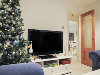 A living room with a decorated Christmas tree a flat screen TV on a white stand and a wooden door open to a dining area at 1 Camperdown Lodge in Salcombe