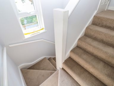 Carpeted stairs with a window showing outside greenery in a stairwell at Primrose Cottage Goldenbank near Falmouth