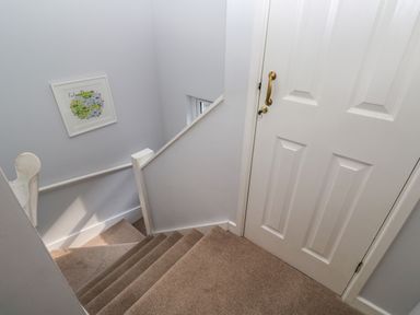 A staircase with carpeted steps and a white door with a brass handle at Primrose Cottage in Goldenbank near Falmouth