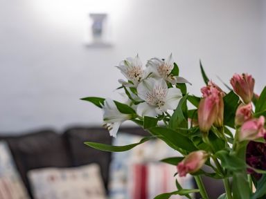 A close up of white and pink flowers with green leaves in a living room with cushions on a sofa at St Samson in Port Isaac