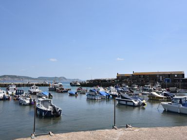 A harbor with multiple boats docked in the water and buildings in the background at Coastal View in Lyme Regis