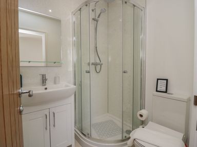 A bathroom with a shower cubicle sink with cabinet toilet and a mirror at Dalegarth Hall Farm Cottage 1 Boot near Eskdale Green