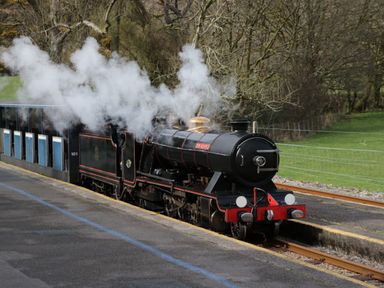 A steam locomotive with passenger cars at a train station platform in a rural area