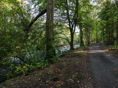A dirt path running alongside a river with trees and greenery at Dalegarth Hall Farm Cottage 1 Boot near Eskdale Green