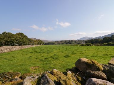 A grassy field with stone walls and trees under a clear sky at Dalegarth Hall Farm Cottage 1 in Boot near Eskdale Green