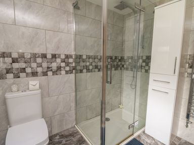 A bathroom with a toilet a glass shower enclosure and a white cabinet at Gelli Barn Near Llandeilo