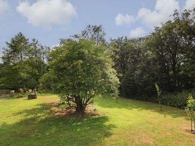 A grassy garden area with several trees and a large rock near a fence at Gelli Barn Near Llandeilo