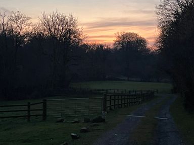 A country road with wooden fences and bare trees at sunset near Gelli Barn Near Llandeilo