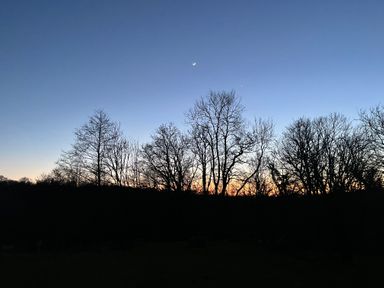 Silhouettes of leafless trees against a dusk sky with a crescent moon and a bright star near Gelli Barn Near Llandeilo