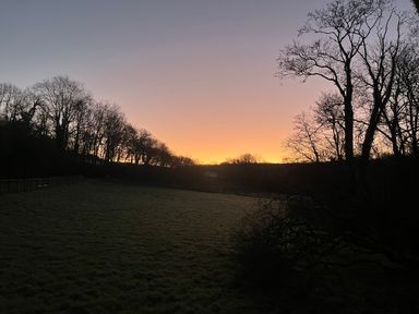 A field with grass and trees at sunset at Gelli Barn Near Llandeilo