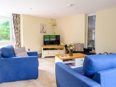 A living room with a tv and sofas at Gelli Barn near Llandeilo