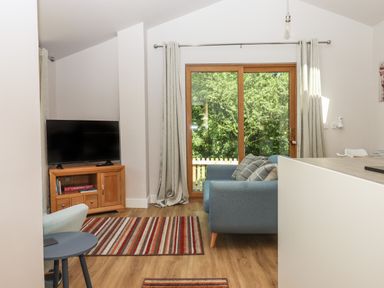 A living room with a blue sofa, a television on a wooden cabinet, striped rugs, and sliding glass doors with curtains at Adipit Stables in Buckland Brewer near Bideford
