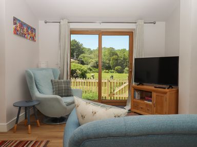 A living room with an armchair and a side table next to sliding glass doors with curtains a TV on a wooden cabinet and a sofa with patterned cushions at Adipit Stables in Buckland Brewer near Bideford
