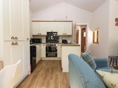 A kitchen with white cabinets and a black oven next to a blue sofa with cushions at Adipit Stables Buckland Brewer near Bideford