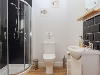 A bathroom with a shower enclosure a toilet and a sink with a mirror at Adipit Stables Buckland Brewer near Bideford