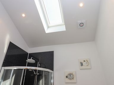 A shower with black wall panels and a skylight window in the ceiling at Adipit Stables Buckland Brewer near Bideford