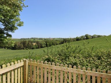 A wooden fence with bushes and green fields under a clear sky at Adipit Stables Buckland Brewer near Bideford