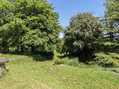 A grassy garden area with trees and bushes under a clear sky at Adipit Stables Buckland Brewer near Bideford